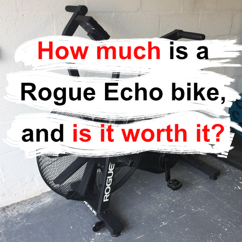 How much is a Rogue Echo bike, and is it worth it?