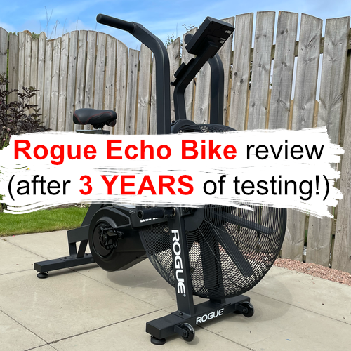 Rogue Echo Bike review cover image